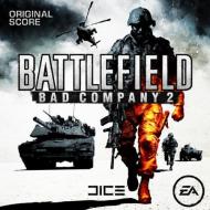 Компьютерная игра  «Battlefield: Bad Company 2» — проблемы и решения