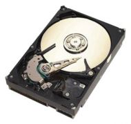 Жёсткий диск Seagate ST3160812A