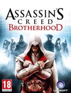 Компьютерная игра  «Assassin's Creed: Brotherhood» — проблемы и решения